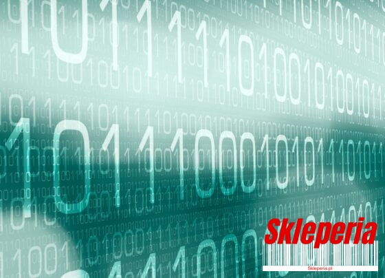 Skleperia.pl - Bezpieczeństwo Transakcji w Sklepie Internetowym – Jak Chronić Dane Klientów i Uniknąć Ataków Cybernetycznych?