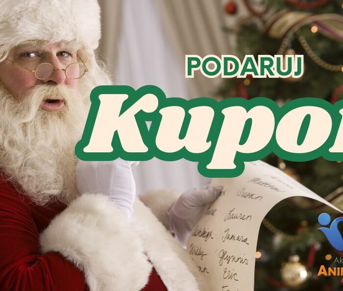 Kupon Prezentowy - AkademiaAnimatora.pl